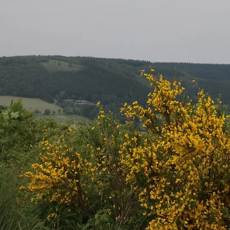 Anna 002 * Winterberg