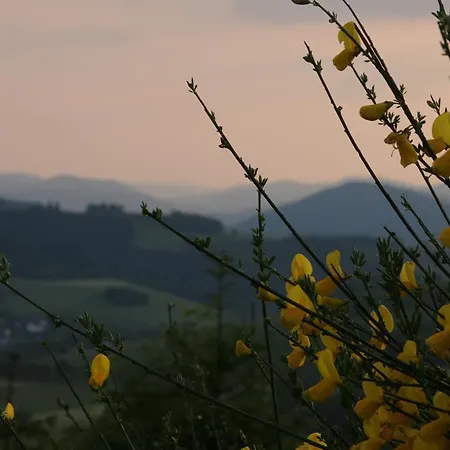 Anna 002 * Winterberg